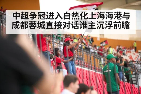 soccer stadium crowd